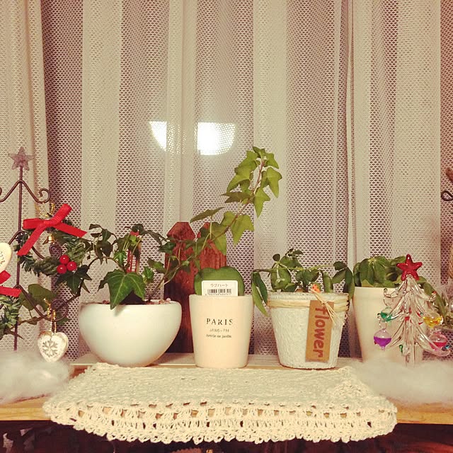 fumirinさんの実例写真