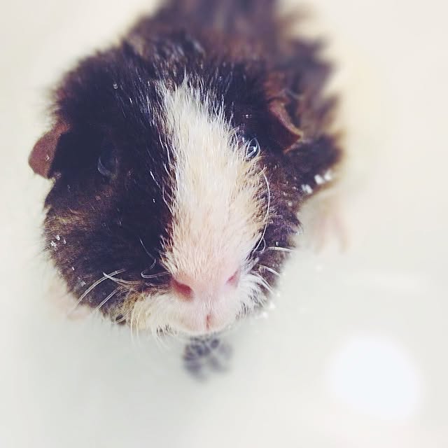 molmiyaさんの実例写真