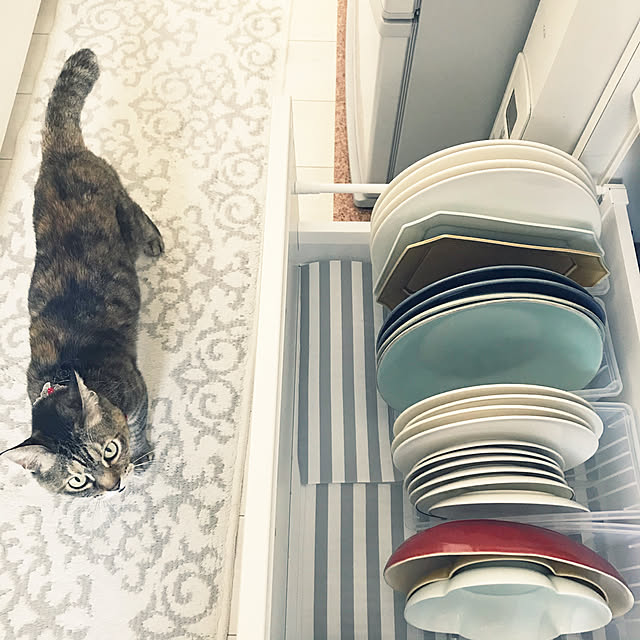 minminさんの実例写真