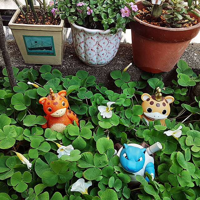 katさんの実例写真