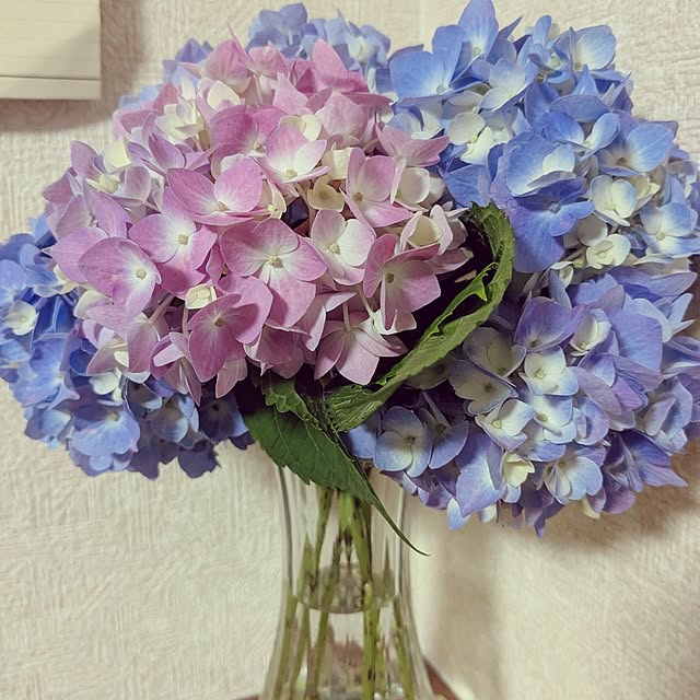 mofukoさんの部屋
