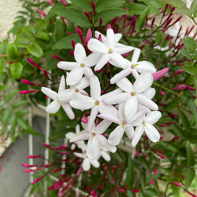 justyさんの部屋