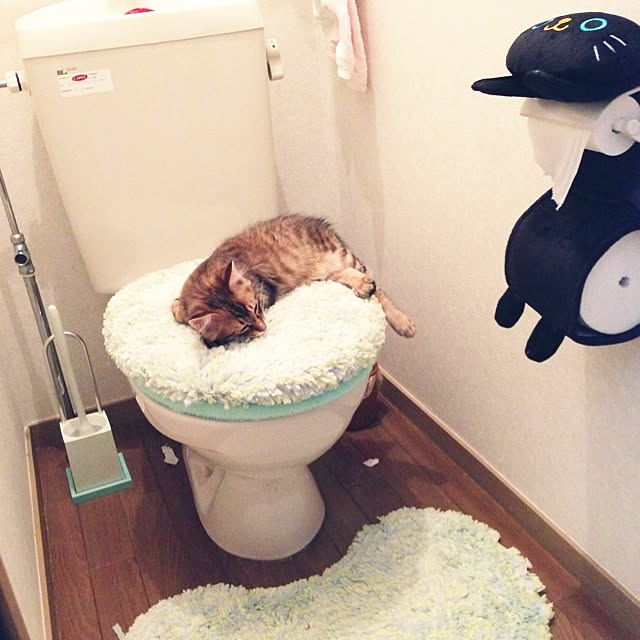 Kumiさんの実例写真