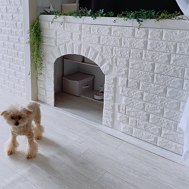 cocoaさんの実例写真
