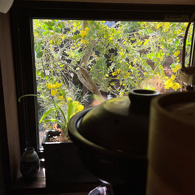 kinari.akariさんの部屋