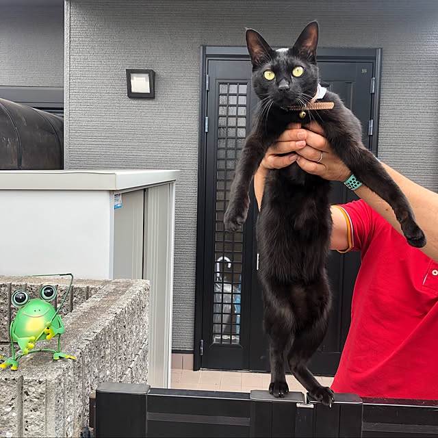 jijiさんの実例写真