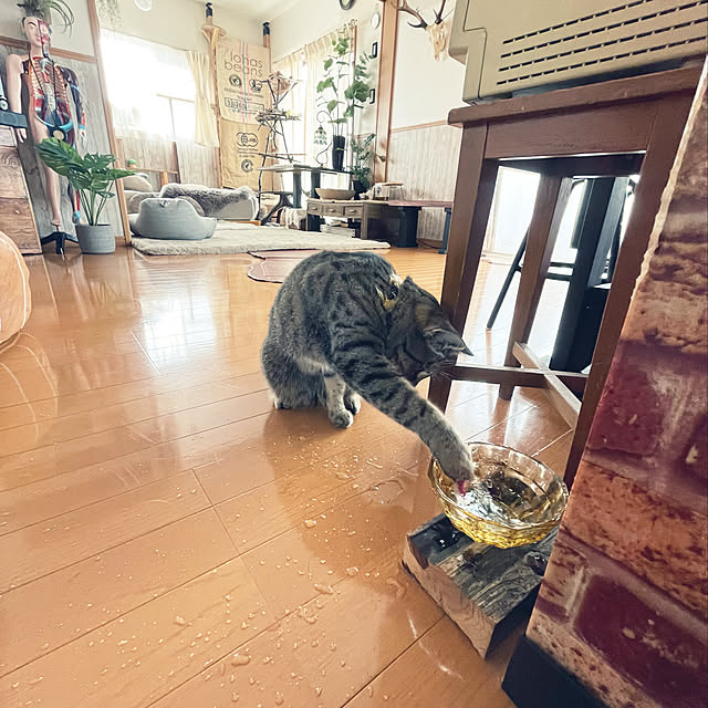 Mさんの実例写真