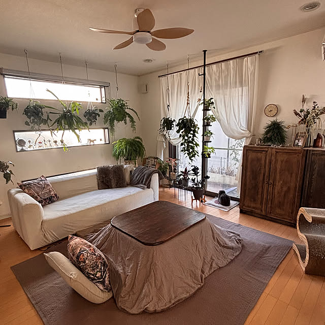 greycatsさんの部屋