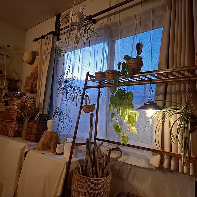 midoriさんの部屋
