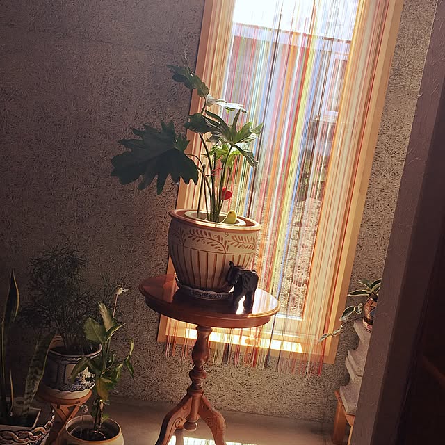 ucochanさんの実例写真