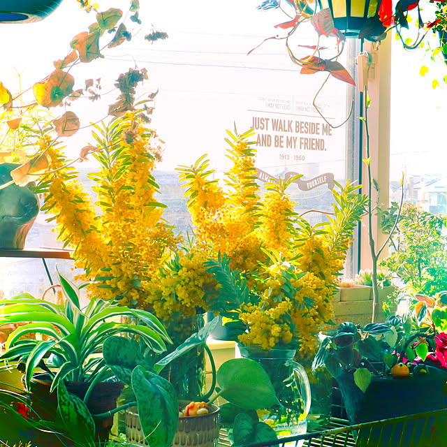 rukakoさんの実例写真