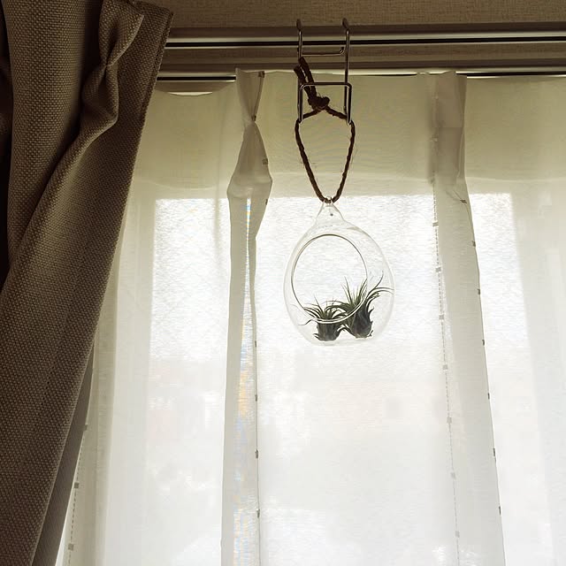botanさんの実例写真