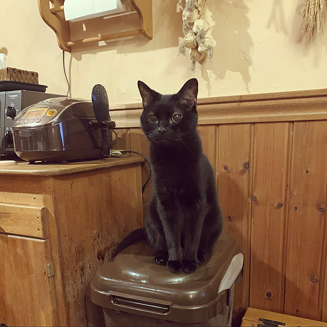 tabasaさんの実例写真