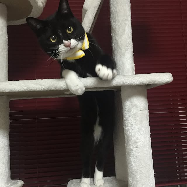mtkさんの実例写真