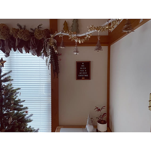 marucoさんの実例写真