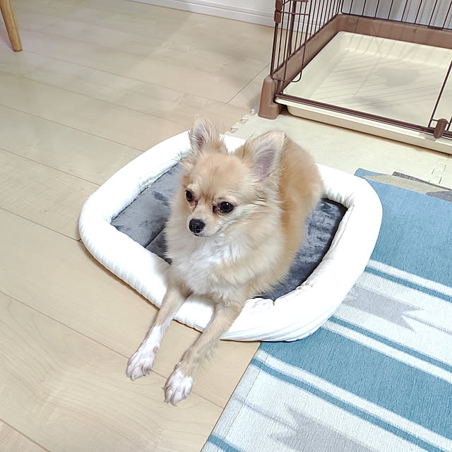 kouさんの実例写真