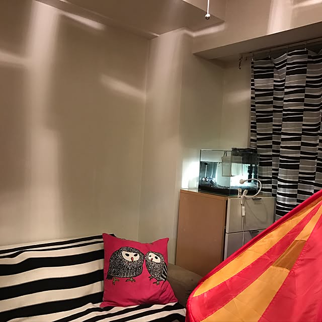 iganokoさんの実例写真