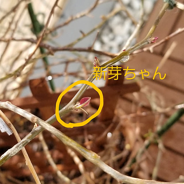 takoさんの実例写真