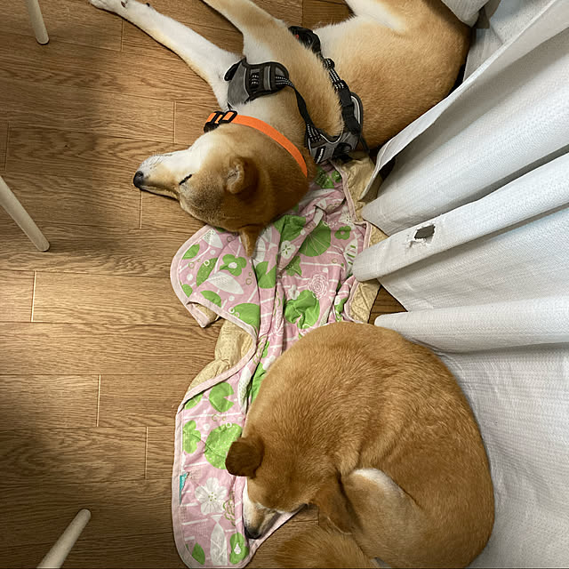 luckyさんの実例写真
