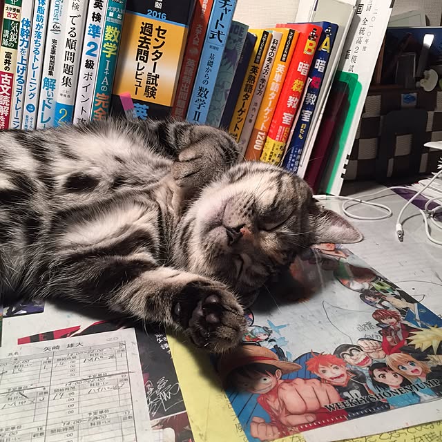 haruさんの実例写真