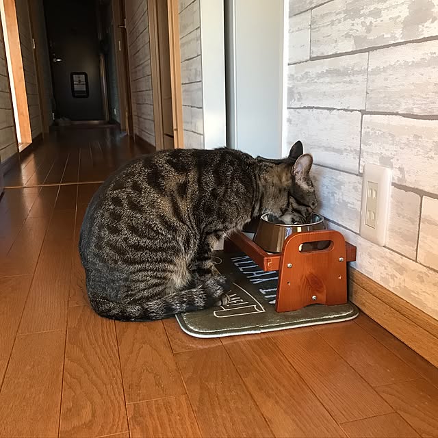 lalaさんの実例写真