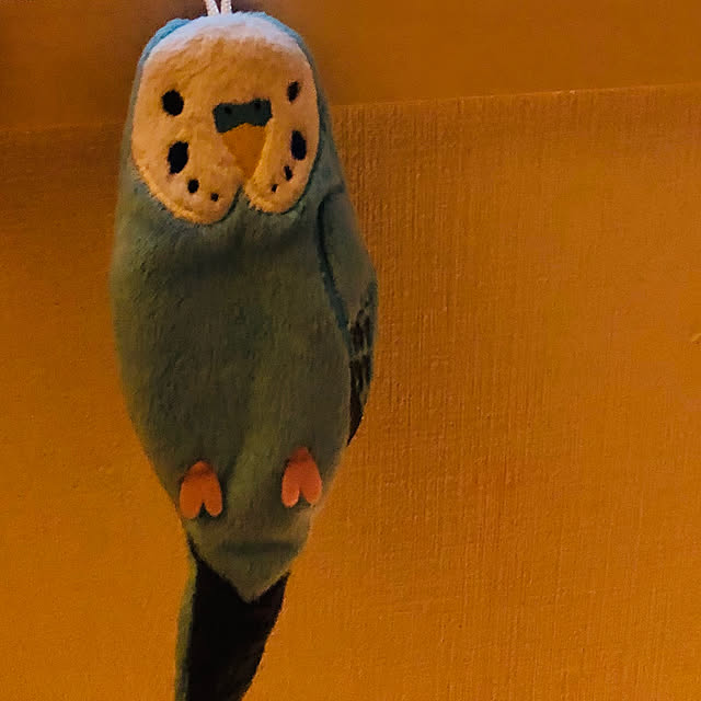 kaoさんの実例写真
