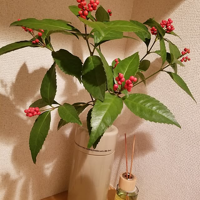 mikiroyさんの実例写真