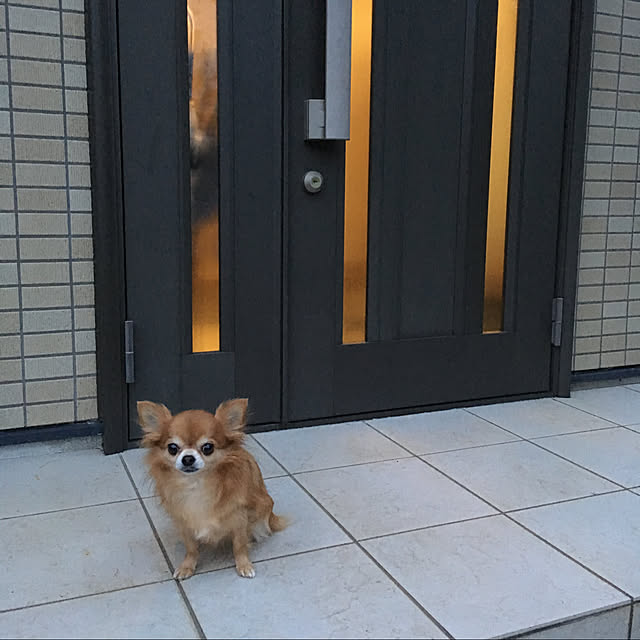 koroさんの実例写真