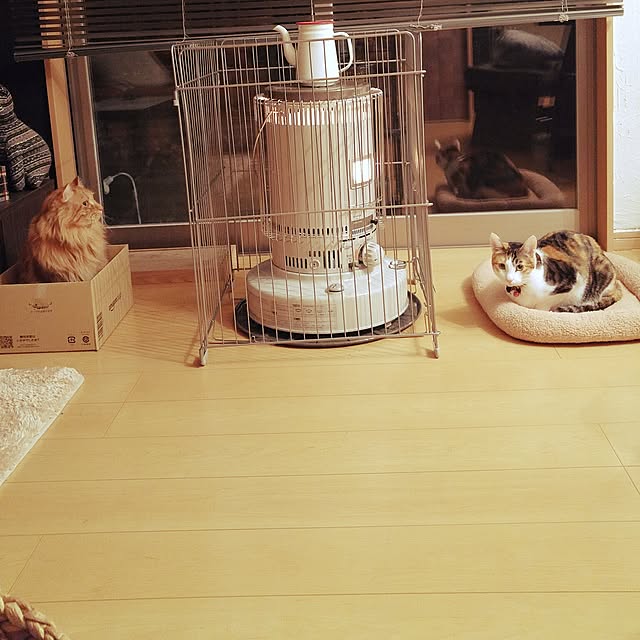 l..tomesanさんの実例写真