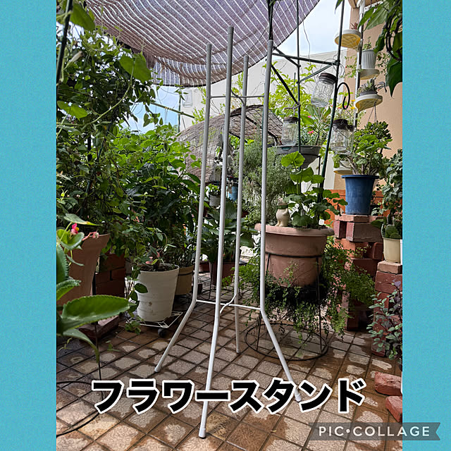 Aqettyさんの部屋