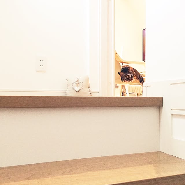 lovecatさんの実例写真
