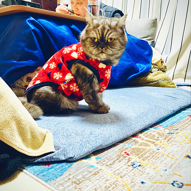 Marinさんの実例写真