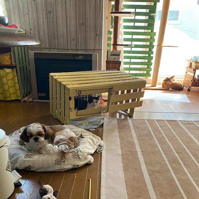 SHIHOさんの実例写真