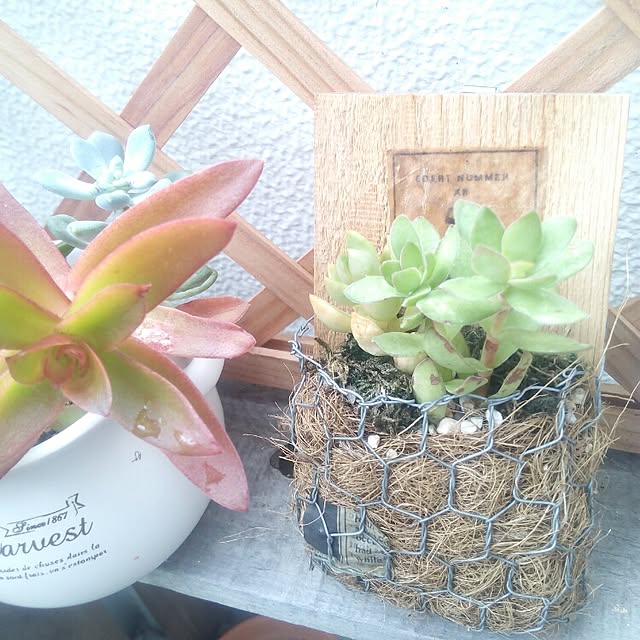 VERANDARJUNさんの実例写真