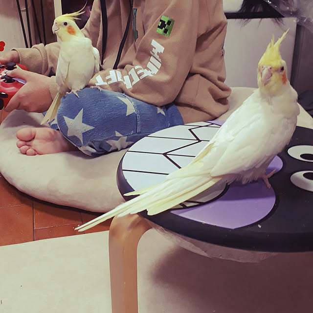 ANTENNAさんの実例写真