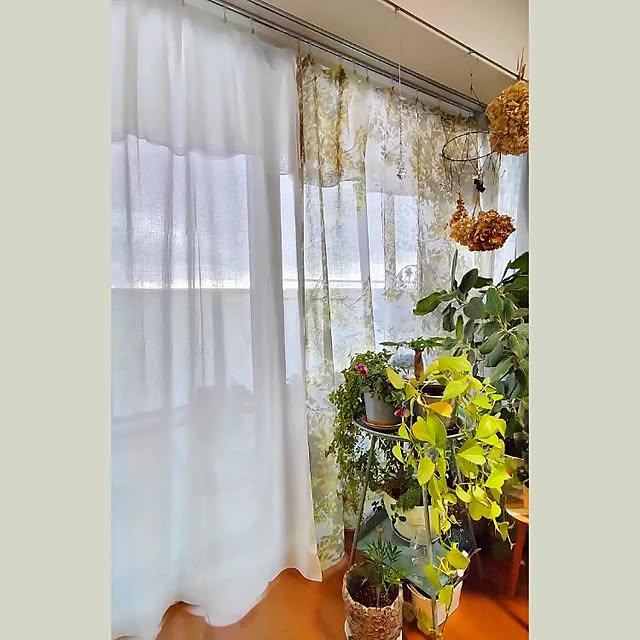Naokoさんの実例写真