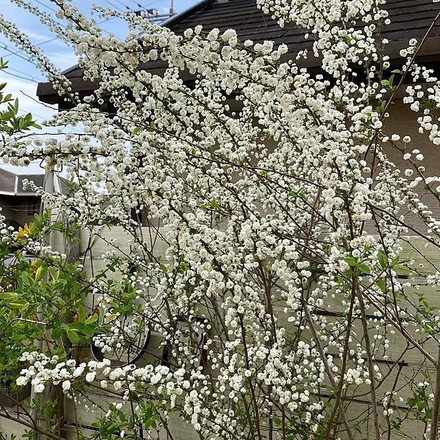 min_nimさんの部屋