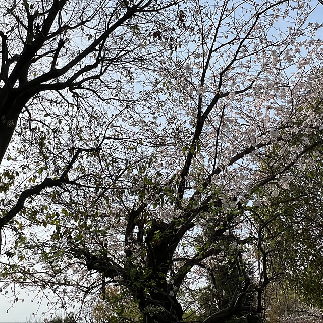 stさんの部屋