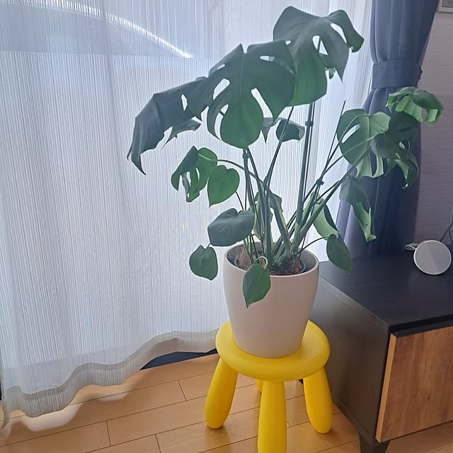 toro_roomさんの実例写真