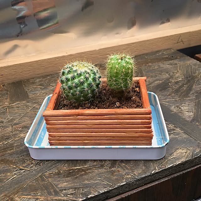 tadaさんの実例写真