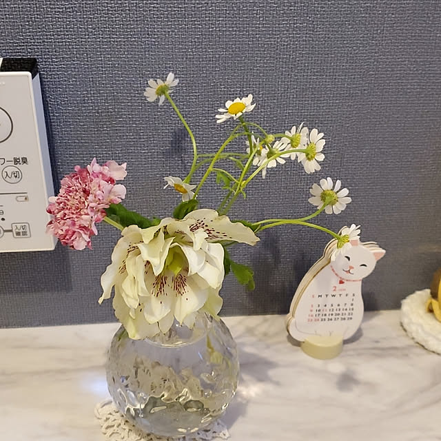 ramuramuさんの実例写真