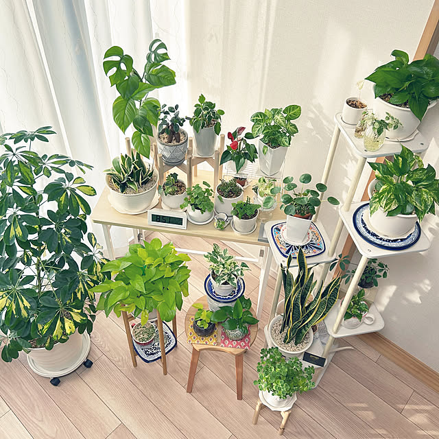 yoyoyoさんの部屋