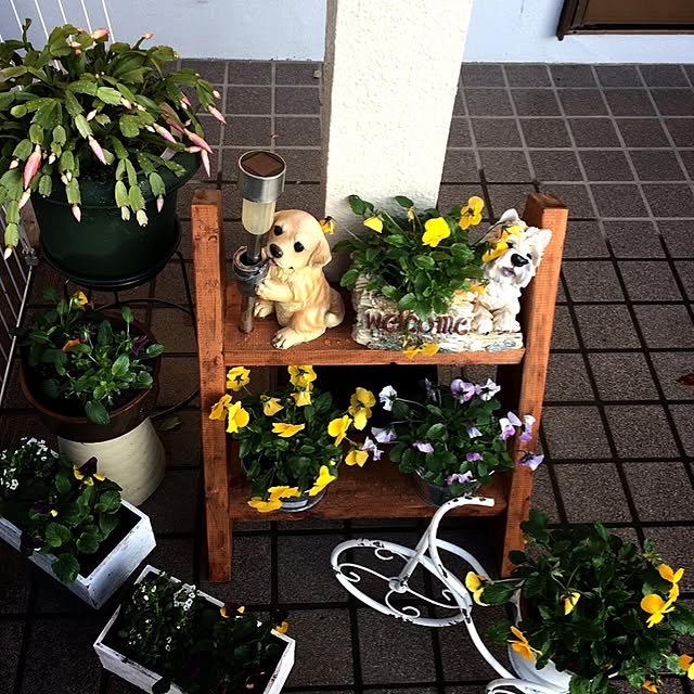 jackey1さんの実例写真
