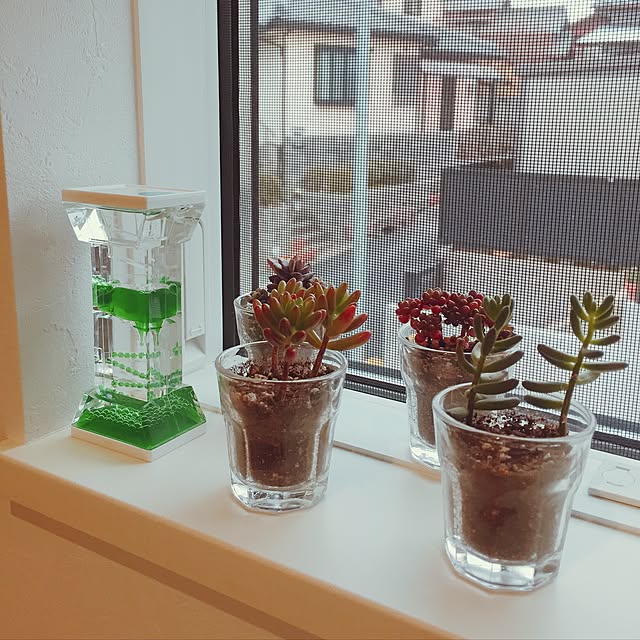 Mikiさんの実例写真