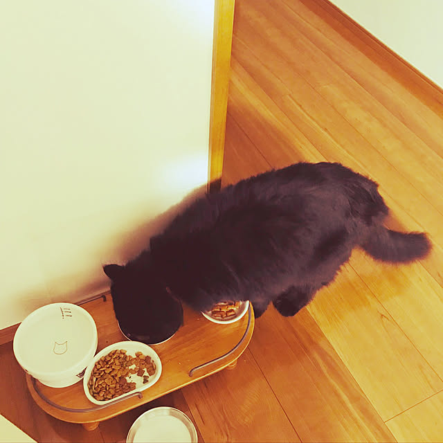 minamiさんの実例写真