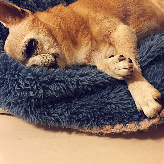 hdn0037200さんの実例写真