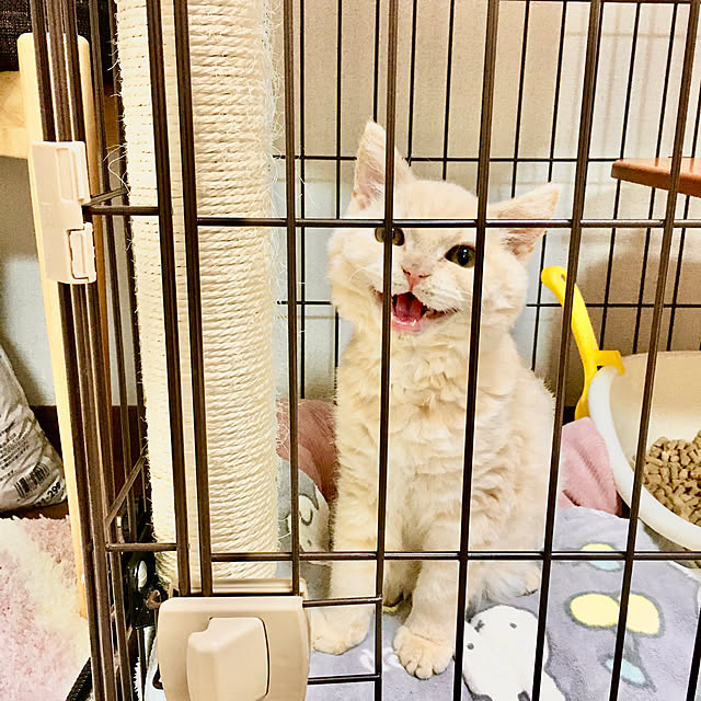 naokoさんの実例写真