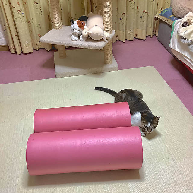 haruminさんの実例写真