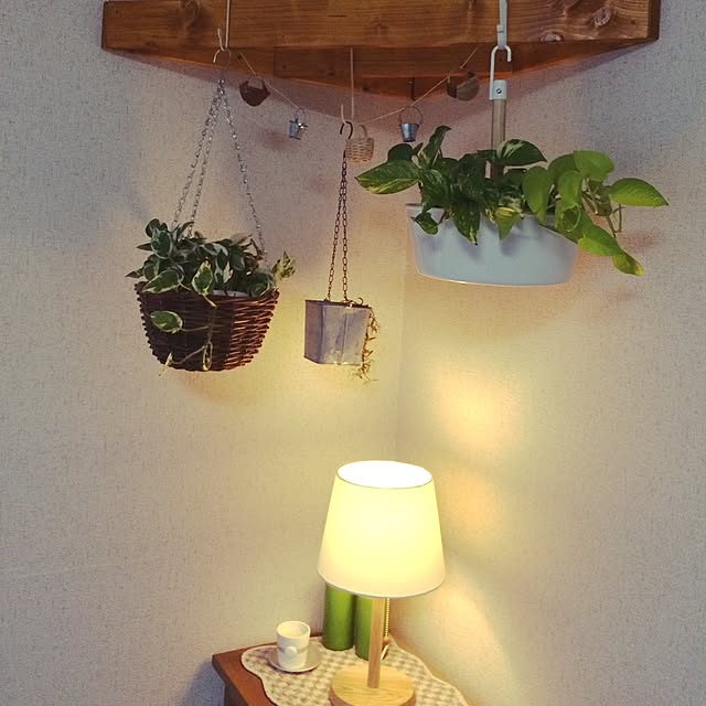 実例写真
