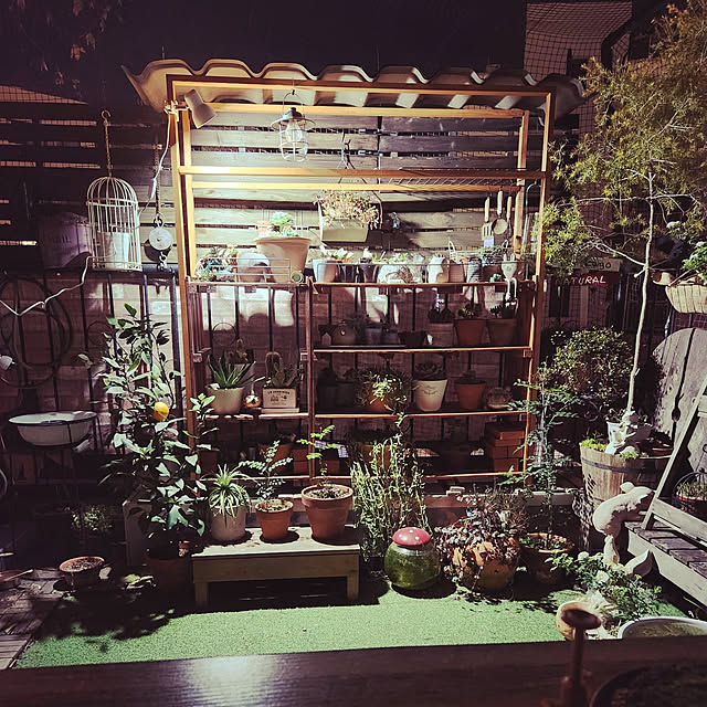 mikamaiさんの実例写真